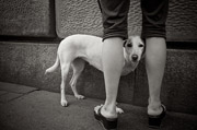 DDOS测试